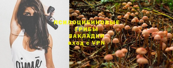 гидропоника Белокуриха