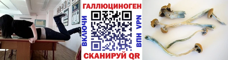 наркошоп  Вятские Поляны  Псилоцибиновые грибы ЛСД 