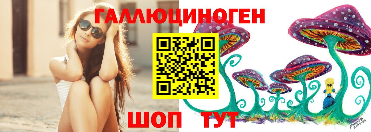 Псилоцибиновые грибы Psilocybe  Вход с VPN  Вятские Поляны  Псилоцибиновые грибы Cubensis 